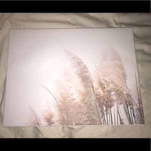 New Custom canvas photo of Pampas grass 16x12 inch